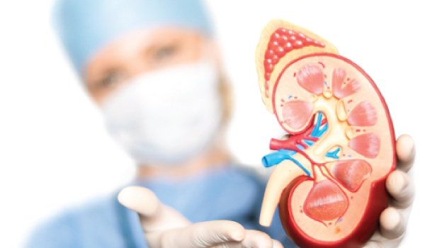 Paediatric Nephrology Welcome Image